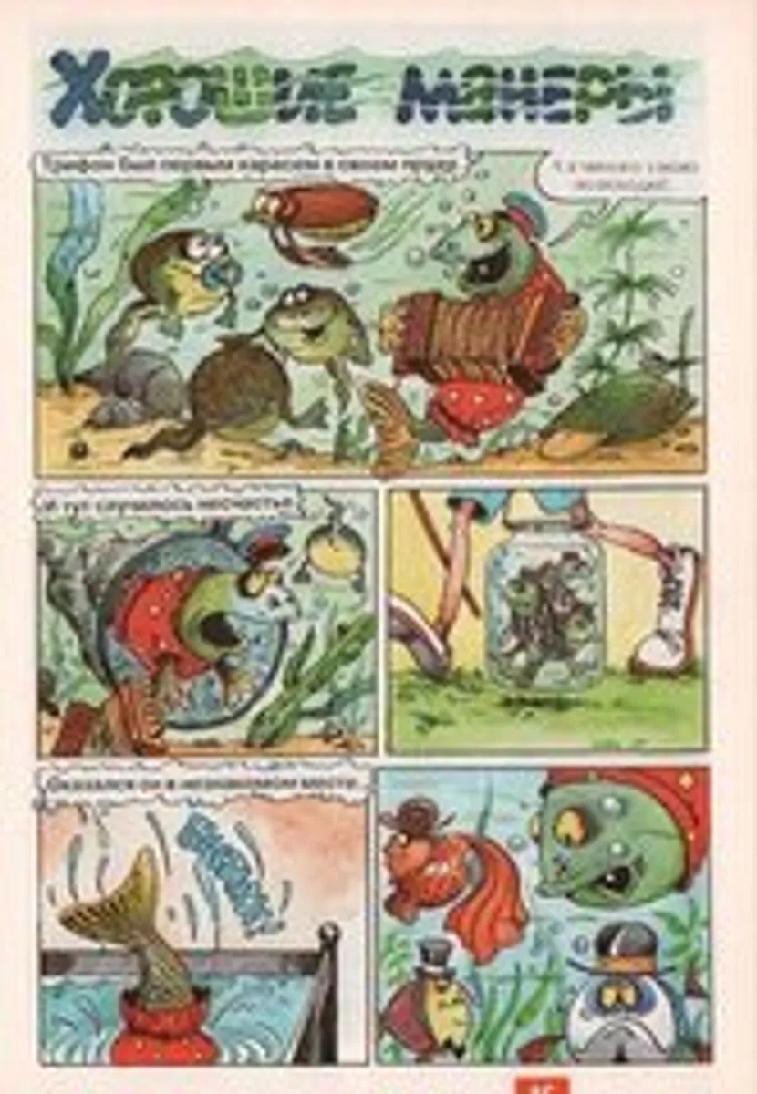 Арбуз, он же Серёжка. 25 лет (Б/У)