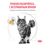 ROYAL CANIN Urinary S/O Корм сухой для кошек при мочекаменной болезни, 1,5 кг