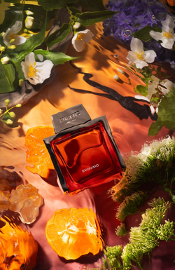 EVONIMO - PARFUM - 50 мл