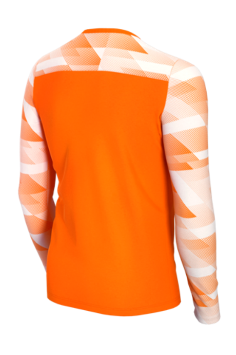 Вратарская кофта Nike Dry Park IV LS GK Детская