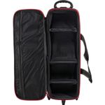 Godox MS300-D