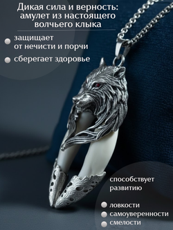Защитный магический кулон амулет с настоящими Клыками Волка