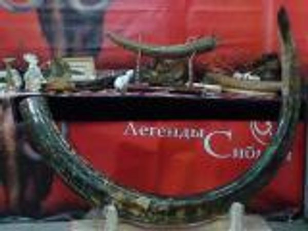 Компания "Легенды Сибири" представила новый коллекционный бивень мамонта "Мелодия тысячелетий" Компания "Легенды Сибири" представила новый коллекционный бивень мамонта "Мелодия тысячелетий"