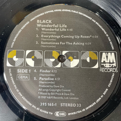 Винтажная виниловая пластинка LP Black Wonderful Life (Германия 1987)