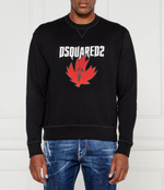 Худи Dsquared2 - черный(S74GU0821 S25551)