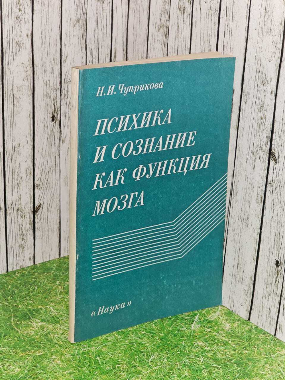 Психика и сознание как функция мозга. Чуприкова Наталья Ивановна