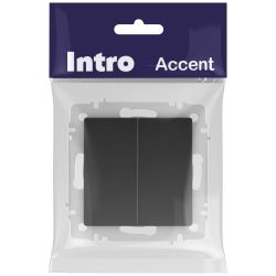 Выключатель Intro Accent 6-104-05 двойной, 10А-250В, IP20, СУ, AL/CU, антрацит | Intro