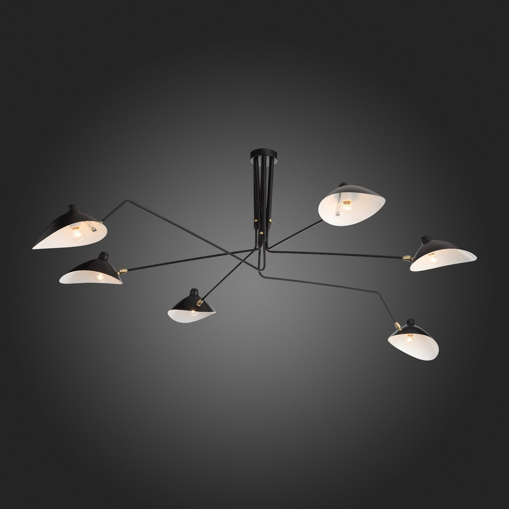 Люстра потолочная ST Luce Spruzzo SL305.402.06