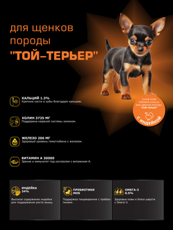 Корм сухой для щенков породы Той-терьер, с индейкой, 800 гр, QUATTRO