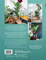 Urban Jungle