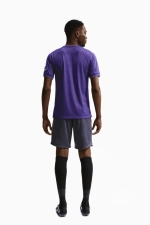 Футболка Nike Tottenham Hotspur 26/27 Pre-Match - фиолетовый