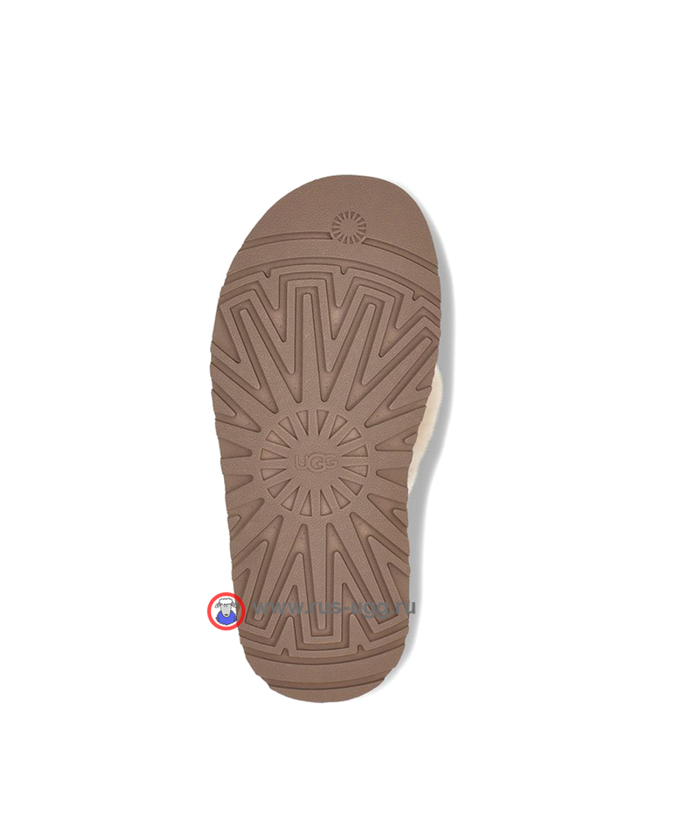 DISCO CROSS Chestnut