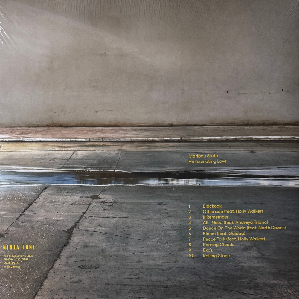 Виниловая пластинка Maribou State ‎– Hallucinating Love LP