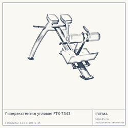 Гиперэкстензия угловая FTX-7343 — от 68 000 ₽