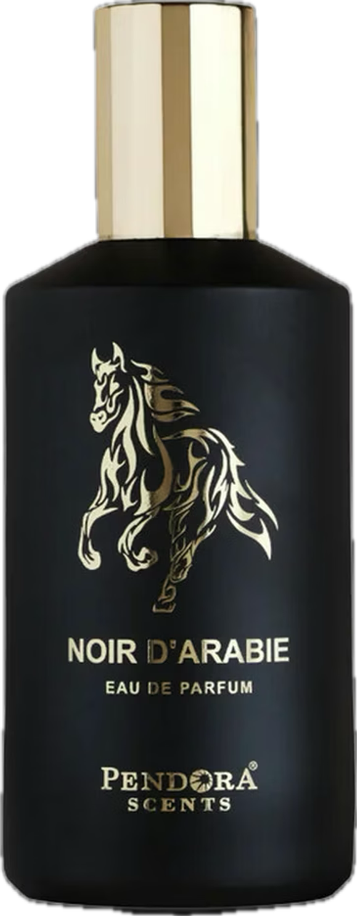 Pendora Scents Noir d'Arabie Eau De Parfum 100 ml (unisex)