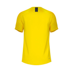 Футболка вратарская Evolution GK Jersey S/S — Tour yellow/university gold