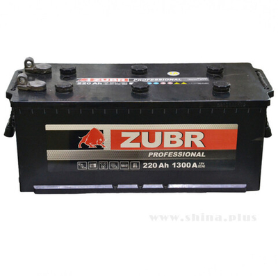 ZUBR NPD12V220Ah
