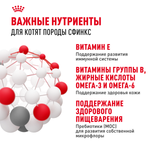Royal Canin Sphynx Kitten Киттен Сфинкс Корм сухой для котят породы Сфинкс в возрасте от 4 до 12 месяцев 2кг