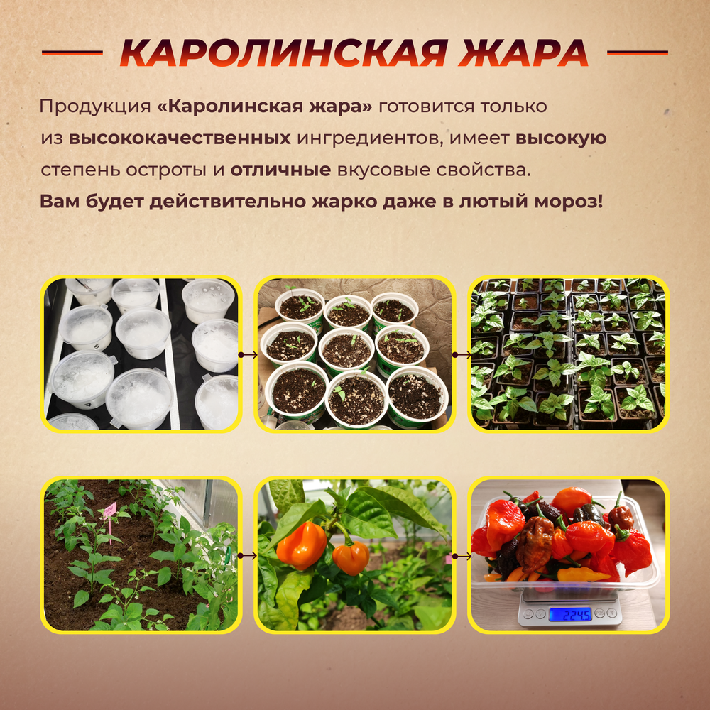 Острый шоколад "Пельмени"