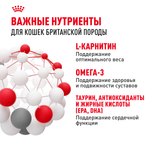Royal Canin British Shorthair Adult Британская короткошерстная Эдалт Корм сухой для взрослых британских кошек 10кг