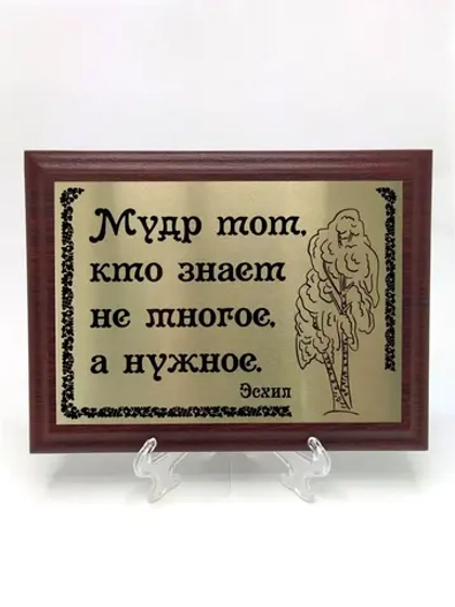 Плакетка сувенир с цитатами "Мудр не тот кто знает много"