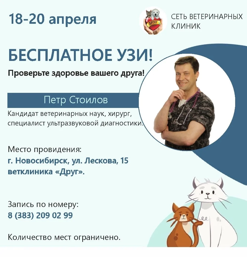 Бесплатное УЗИ!