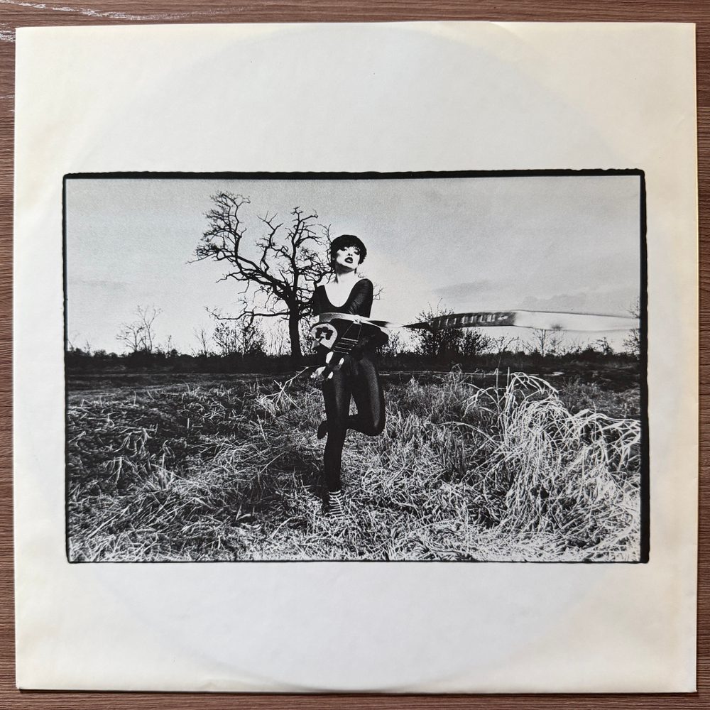 Nina Hagen Band – Nina Hagen Band (Германия 1978г.)
