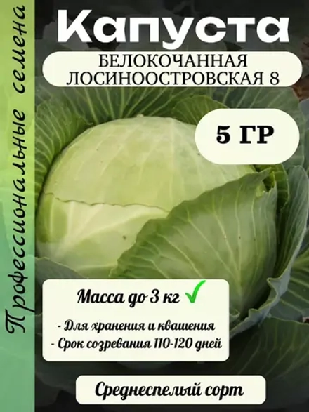 Семена капуста белокочанная Лосиноостровская 8 - 5 гр.