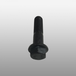 Q1801660TF2 - Болт М16*65*1,5