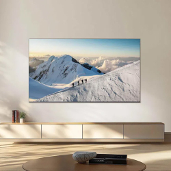 Телевизор TCL 65P8L (2026)