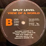 Split Level ‎– View Of The World (Германия 1991г.)