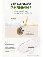 Энзимная пудра с ферментами и центеллой