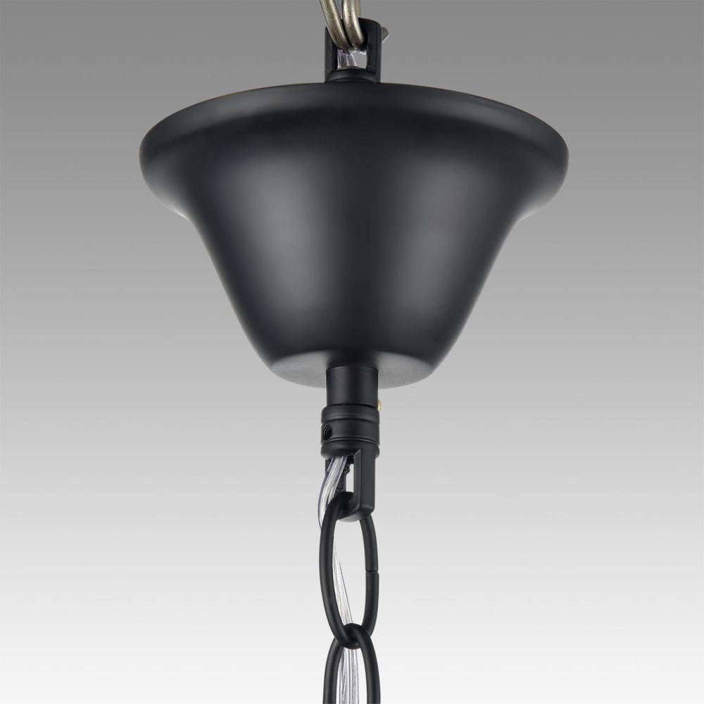 Подвесная люстра Lumion NANA 8106/6