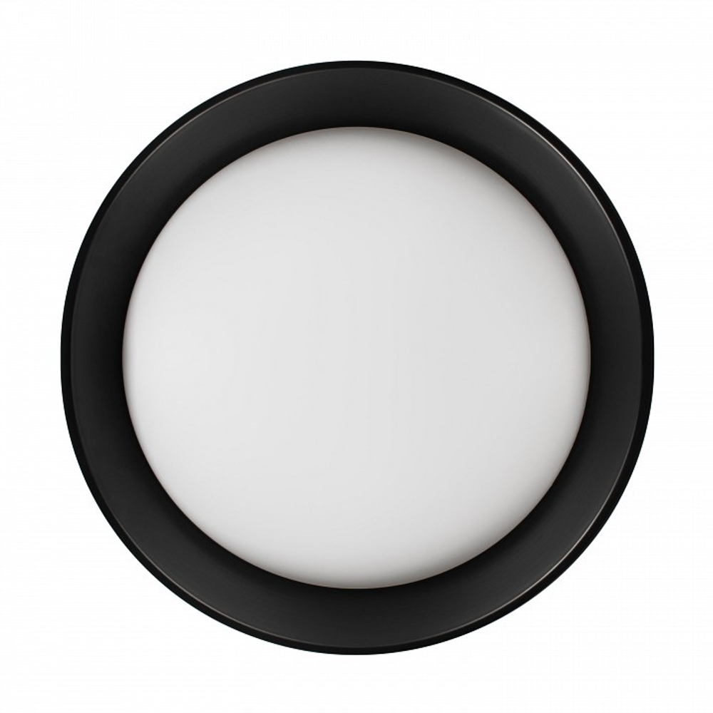 Накладной светильник Loft it Coin 10202 BB