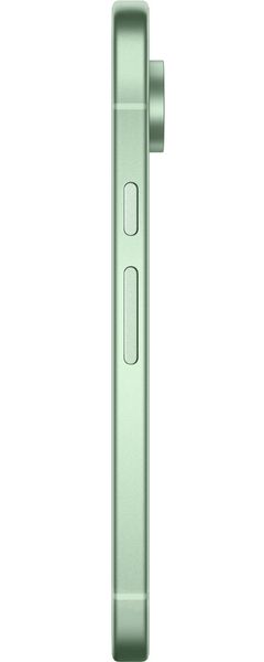 Смартфон Google Pixel 9 12/256 ГБ Зеленый | Wintergreen (USA, Global)