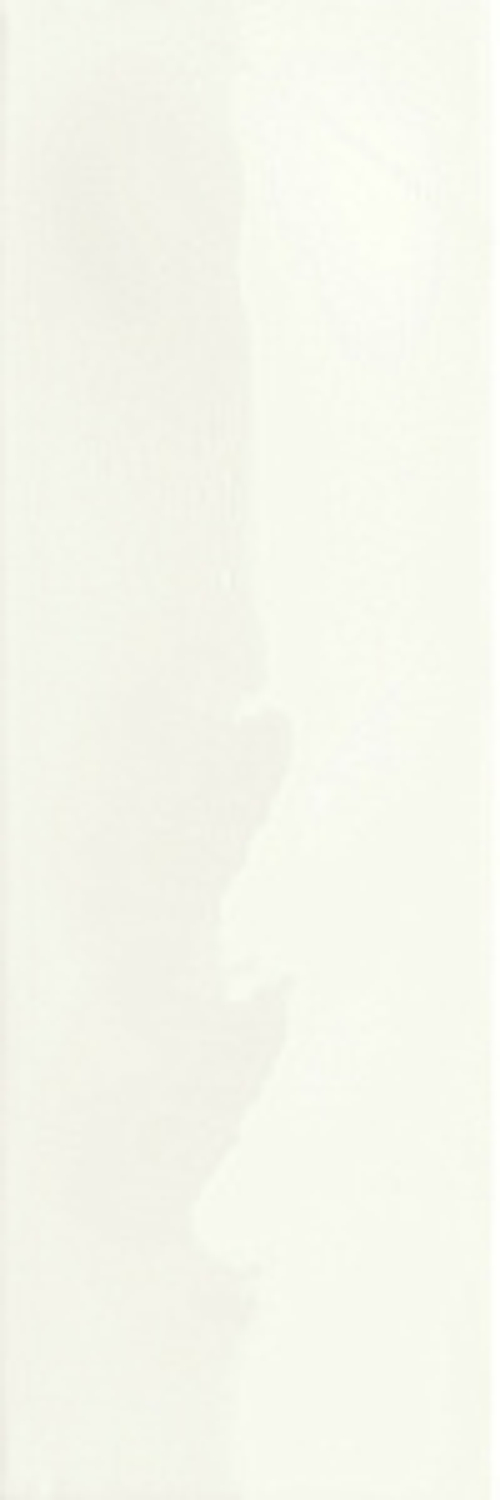 Керамогранит 41zero42 SUPERCLASSICA SCG Riviera White 5х15 (8,5мм.) арт.4101093