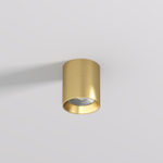 Накладной светильник Denkirs SHINE TUBE DK2610-SB