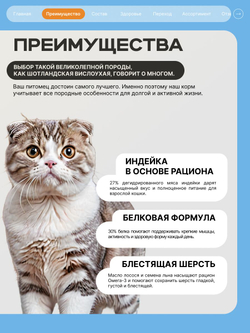 Корм сухой для кошек породы Шотландская вислоухая, с индейкой, 400 гр, QUATTRO