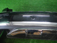 DSCN8875.JPG