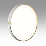 7646/ELN PALE SN 189 Светильник пластик/золотой LED 76Вт 3000/4000/6000К D490 IP43 CCT OLIDI WHITE