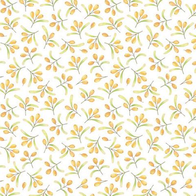Акварельная облепиха на белом. Watercolor sea-buckthorn on the white background.