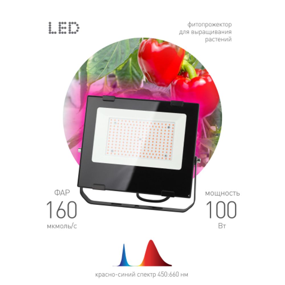 Фитопрожектор для растений светодиодный ЭРА FITO-100W-RB-LED для цветения и плодоношения красно-синего спектра 100 Вт | Фито прожекторы