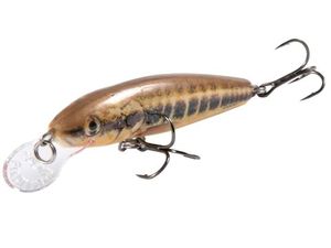 MINNOW