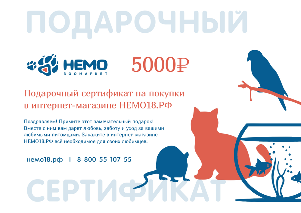 Электронный подарочный сертификат на 5000 р. Электронный подарочный сертификат на 5000 р.