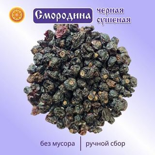 Чёрная Смородина Алтайская.