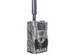 Фотоловушка Boly Guard BG584 24MP (4G/LTE)
