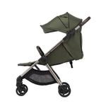 Коляска ANEX IQ Richi (2в1+багги)
