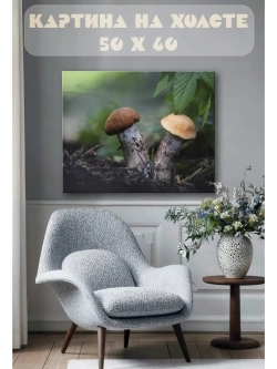 Картина на стену 40 X 50 Грибы