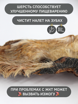 Нос говяжий (мини) — лакомство для собак, 1шт