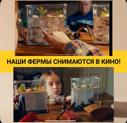 Муравьиная ферма с муравьями в подарок "Космос"